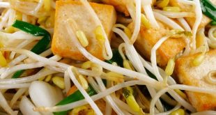 Jenis Jenis Menu Tumis yang Populer di Indonesia